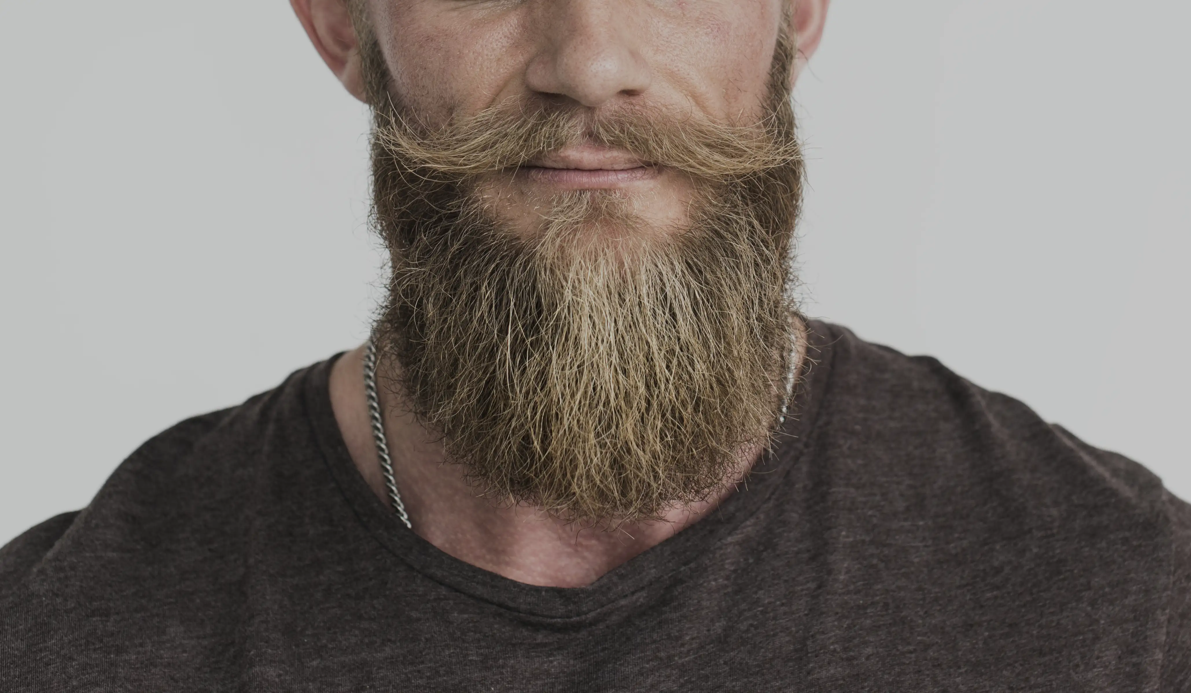 Estilo Viking: como cultivar e cuidar de uma barba longa